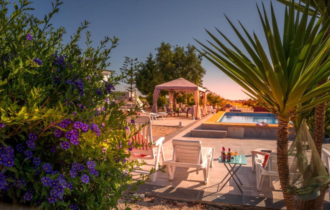 Exceptional Rico'S Country Retreat Almendricos Apartment ปูแอร์โต ลุมเบรราส ภายนอก รูปภาพ